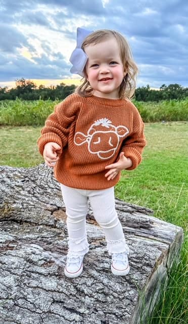 RTS Embroidered Cow Sweater